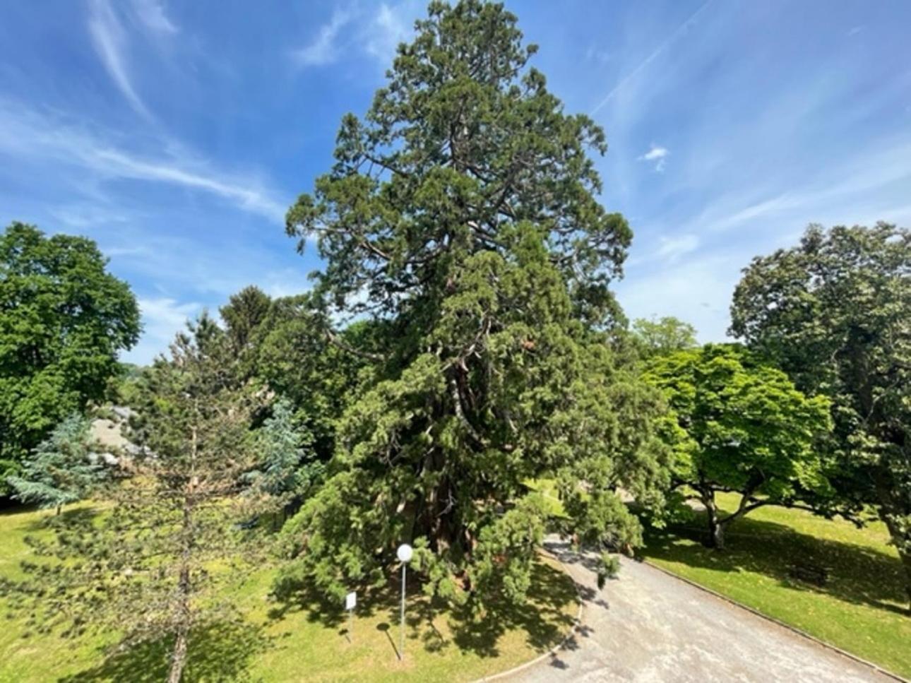 Villa Bonvouloir Bagnères-de-Bigorre Esterno foto